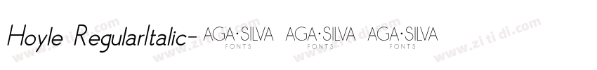 Hoyle RegularItalic字体转换